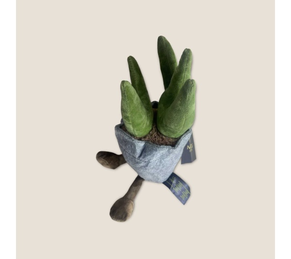 NANDOG My BFF Succulent Pot