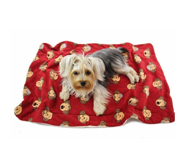 Burgundy - Silly Monkey Ultra-Plush Blanket - 50" x 30"