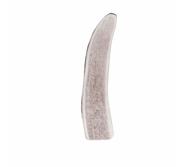 KONG(R) Wild Antler Split  - Small