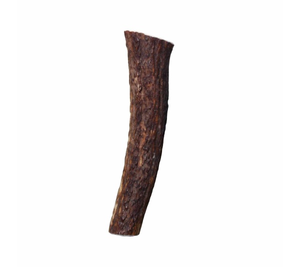 KONG(R) Wild Antler Whole  - Large