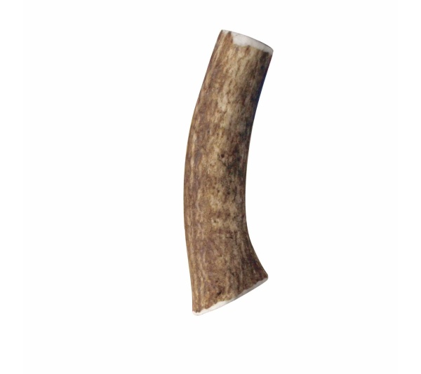KONG(R) Wild Antler Whole  - Medium