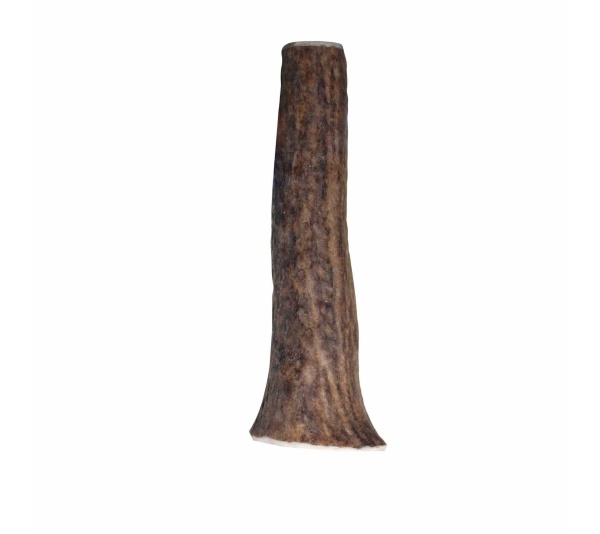 KONG(R) Wild Antler Whole  - Small