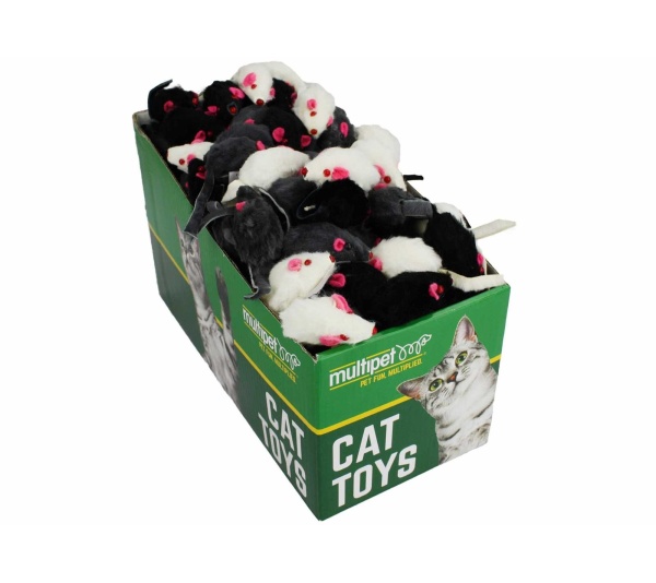 Multipet Paddington Bear Plush Dog Toy 10"