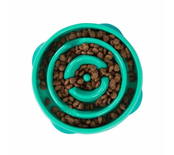 Turquoise - Outward Hound Fun Feeder Slo Bowl  - Large