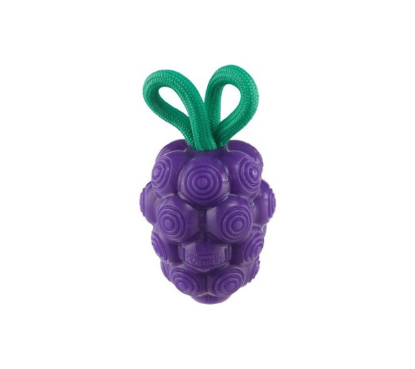 Planet Dog Dental Grapes Dog Chew Toy Purple Medium