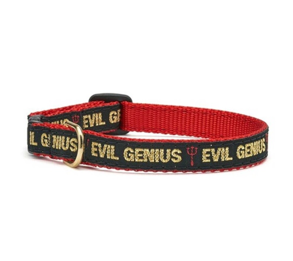 Up Country Evil Genius Cat Collar