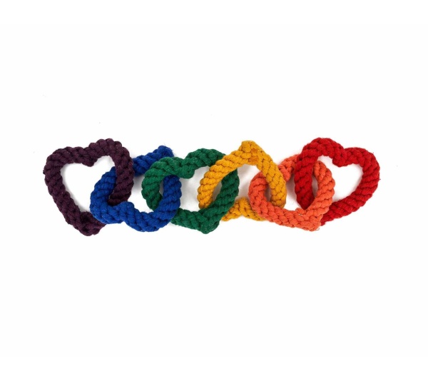 Jax & Bones 6 Chain Rope Dog Toy Rainbow 18"