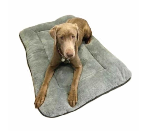 Warm Grey - Messy Cats Single Silicone Feeder - Medium