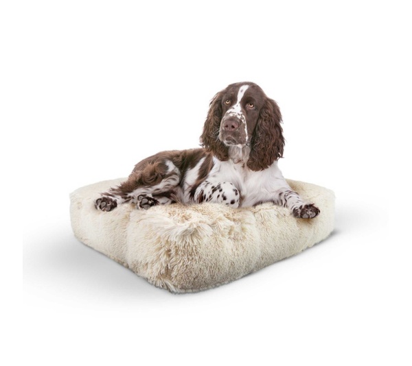 Blondie - Rectangle Bed LG - Blondie - LG - 46" x 35"