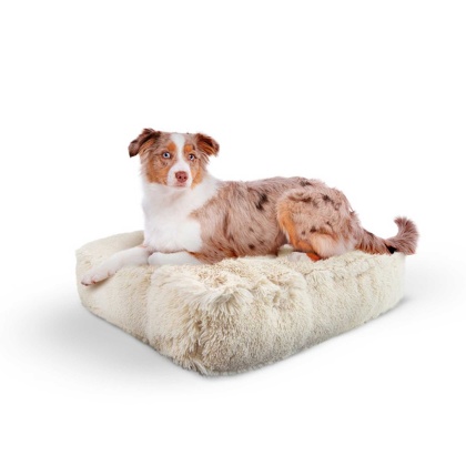 Blondie - Rectangle Bed MD - Blondie - MD - 32" x 36"