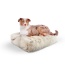 Blondie - Rectangle Bed MD - Blondie - MD - 32" x 36"
