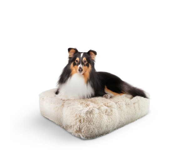 Blondie - Rectangle Bed SM - Blondie - SM- 24" x 24"