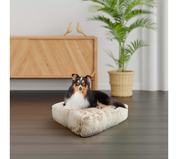 Blondie - Rectangle Bed SM - Blondie - SM- 24" x 24"