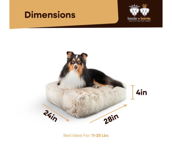 Blondie - Rectangle Bed SM - Blondie - SM- 24" x 24"