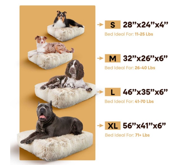 Blondie - Rectangle Bed SM - Blondie - SM- 24" x 24"