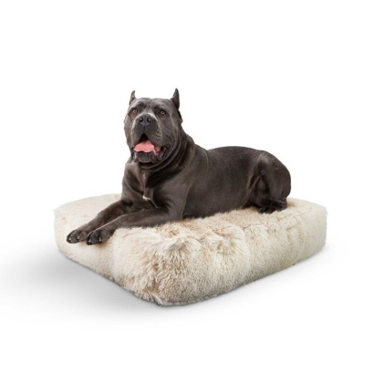 Blondie - Rectangle Bed  XL - Blondie - XL - 56" x 41"