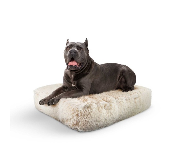 Blondie - Rectangle Bed  XL - Blondie - XL - 56" x 41"