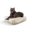 Blondie - Rectangle Bed  XL - Blondie - XL - 56" x 41"