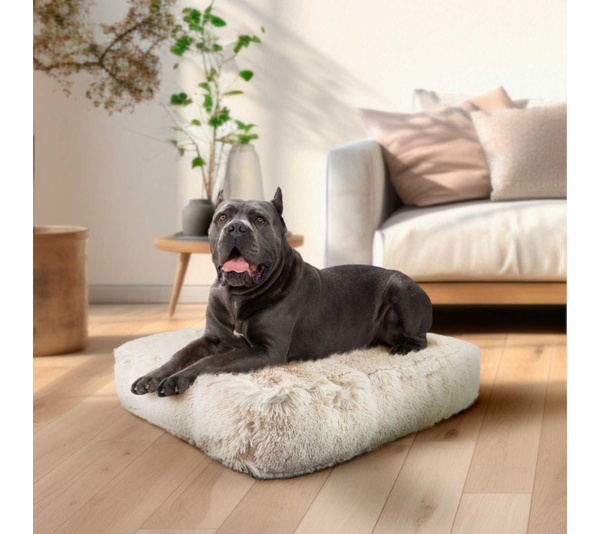 Blondie - Rectangle Bed  XL - Blondie - XL - 56" x 41"