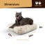 Blondie - Rectangle Bed  XL - Blondie - XL - 56" x 41"