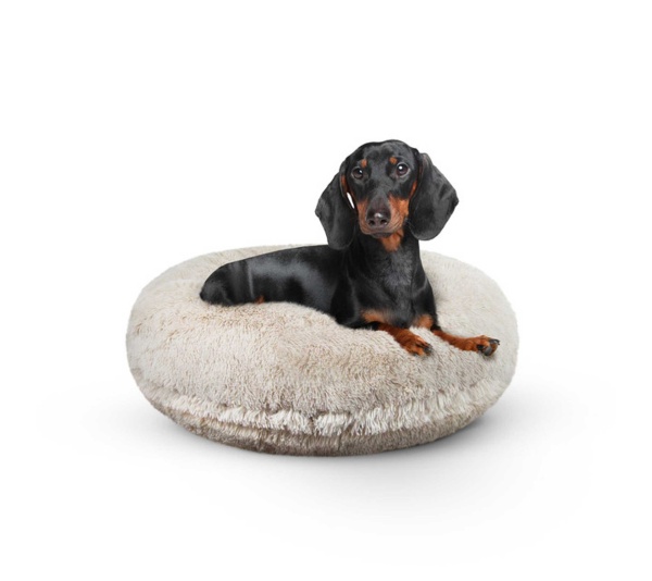 Blondie - Bagel Bed MD - Blondie - MD - 36"