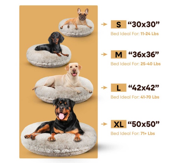 Blondie - Bagel Bed SM - Blondie - SM - 30"