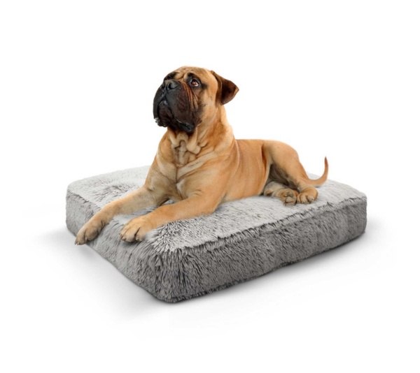 Frosted Snow - Rectangle Bed XL - Frosted Snow - XL - 56" x 41"