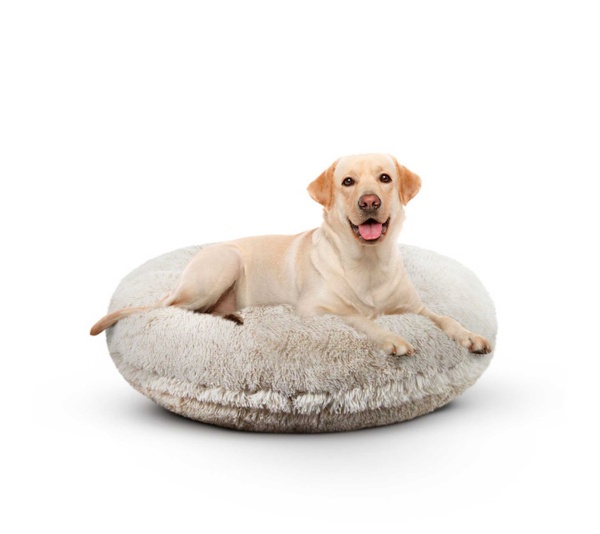 Blondie - Bagel Bed LG - Blondie - LG - 42"