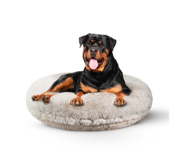 Blondie - Bagel Bed XL - Blondie - XL - 50"
