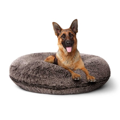 Frosted Willow - Bagel Bed LG - Frosted Willow - LG - 42"