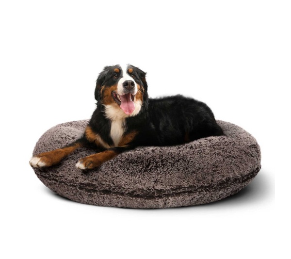 Frosted Willow - Bagel Bed XL - Frosted Willow - XL - 50"