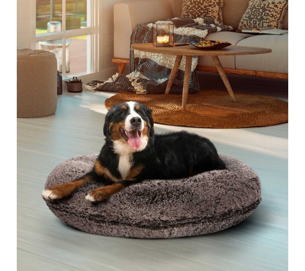 Frosted Willow - Bagel Bed XL - Frosted Willow - XL - 50"