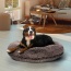 Frosted Willow - Bagel Bed XL - Frosted Willow - XL - 50"