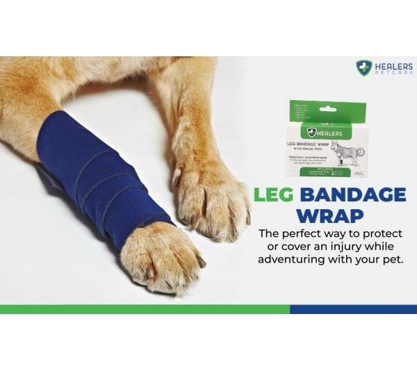 Essentials First Aid Kit