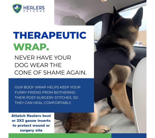 Healers Gauze Replacements - 2" Squares