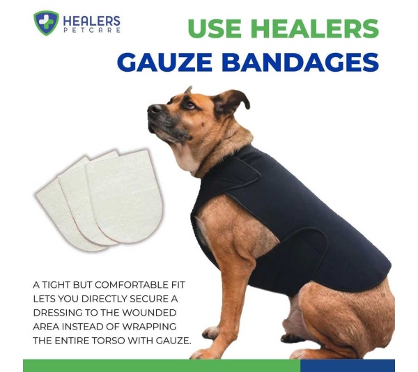 Healers Gauze Replacements - 2" Squares