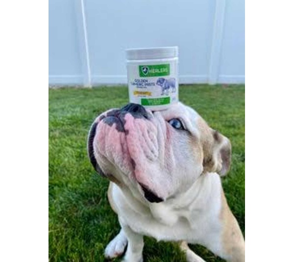 Healers Golden Turmeric Paste for Dogs