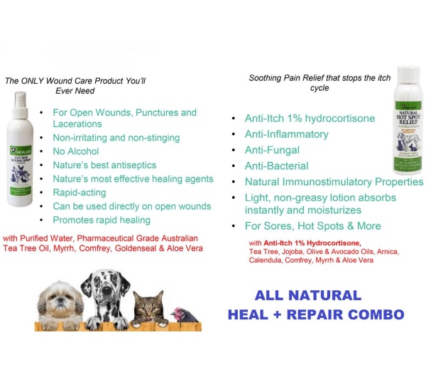 Healers Heal & Repair Kit