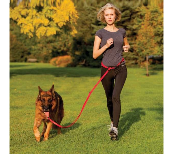 Black - Boss Adjustable Leash - 3/4" x 4'-6'