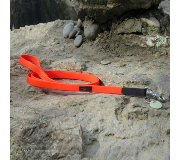Orange - Boss Regular Leash - 5/8" x 6'