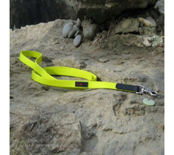 Yellow - Boss Regular Leash - 5/8" x 6'