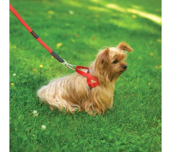 Yellow - Boss Regular Leash - 5/8" x 6'