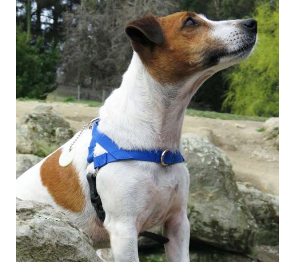 Yellow - Freedom Harness - Small to 25 lbs.