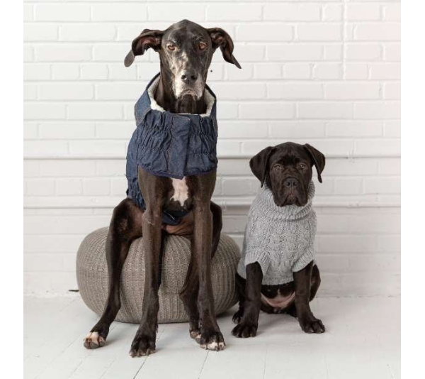 Denim - GF Pet Elasto-Fit Denim Dog Jacket - Medium