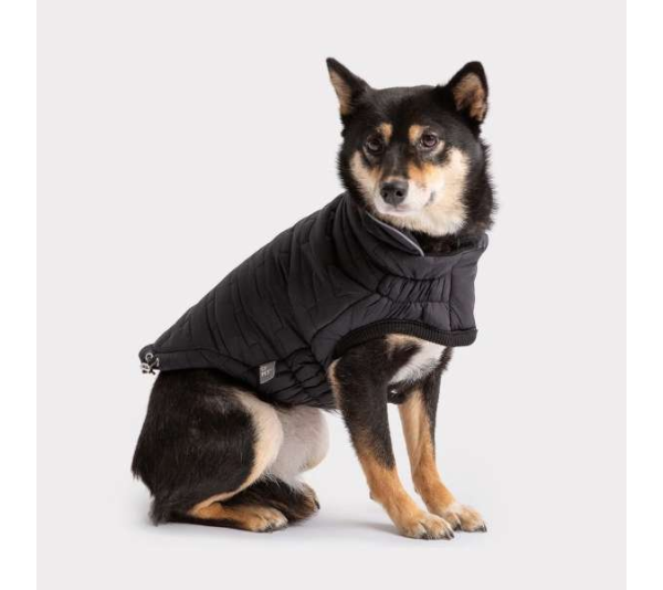 Black - GF Pet Reversible Elasto-Fit Chalet Jacket - XS
