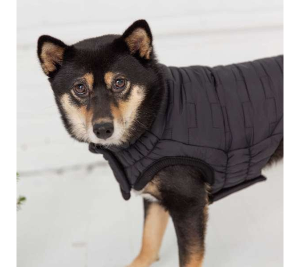 Black - GF Pet Reversible Elasto-Fit Chalet Jacket - 2XL