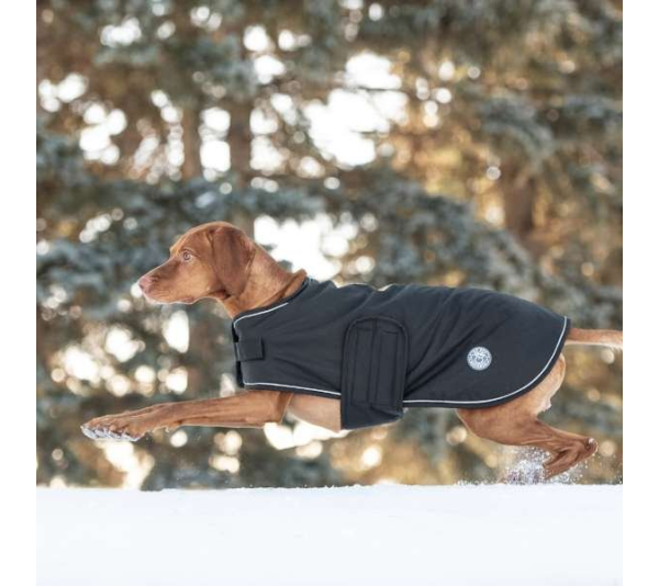Black - GF Pet Dog Blanket Jacket - 3XL