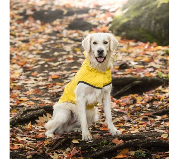 Yellow - GF Pet Reversible ElastoFit Raincoat  - XS