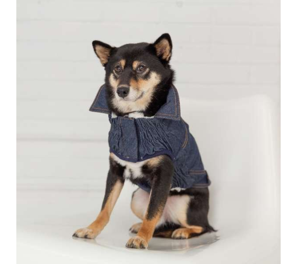 Denim - GF Pet Elasto-Fit Denim Dog Jacket - XL