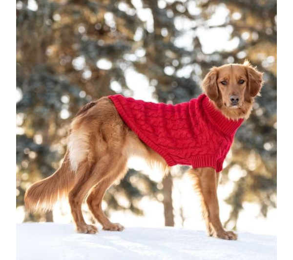 Red - GF Pet Chalet Dog Sweater  - 2XS